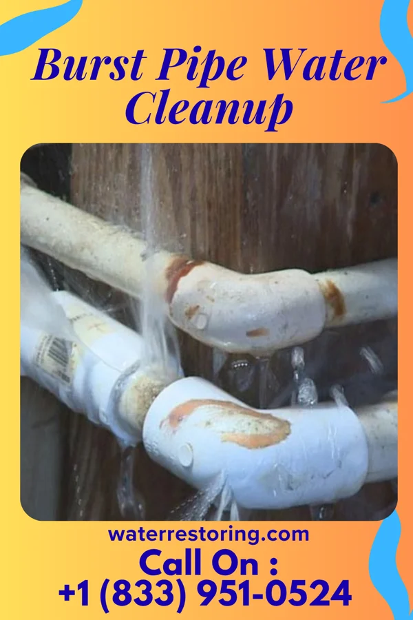 Burst Pipe Water Cleanup in Hurricane, WV