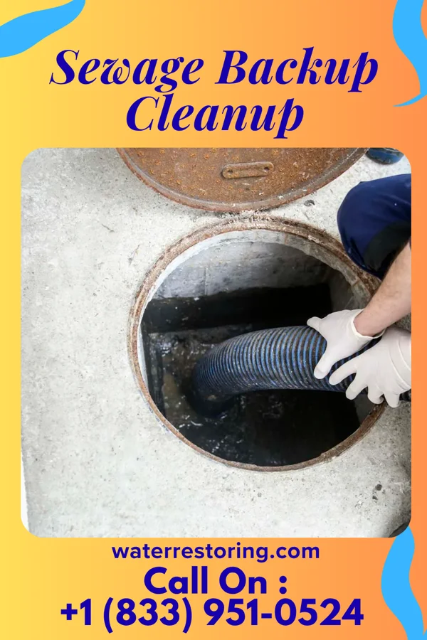 Sewage Backup Cleanup in Hurricane, WV